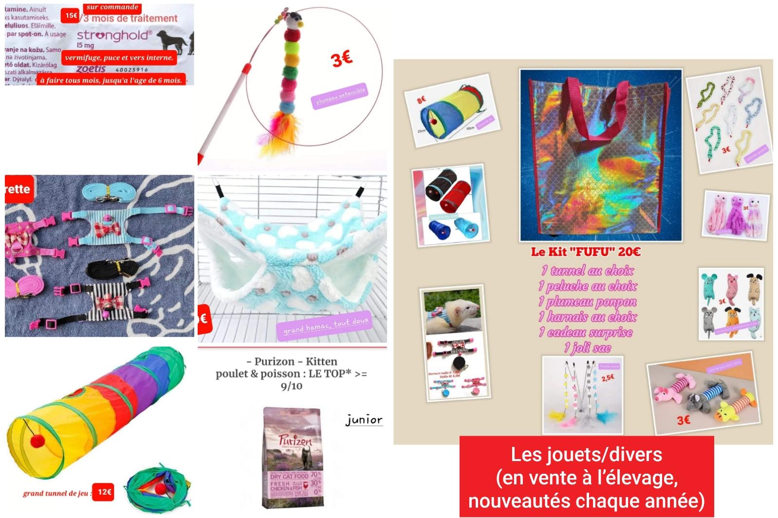 Photocollage 20251812563739